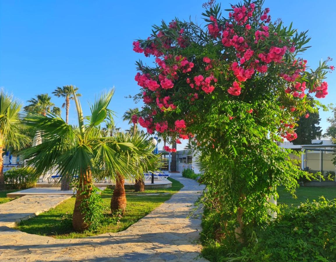Nagi Beach Hotel Гумбет Экстерьер фото